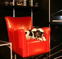 Old Fitzroy Theatre - Events Australia