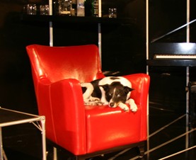 Old Fitzroy Theatre - Events Australia 0