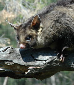  Accommodation Europe