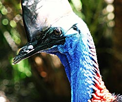 Alma Park Zoo - Events Australia 0