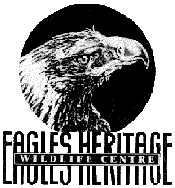 Eagles Heritage - Events Australia
