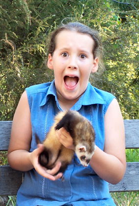 Peel Zoo - Events Australia 1