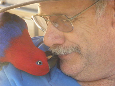 Peel Zoo - Events Australia 3