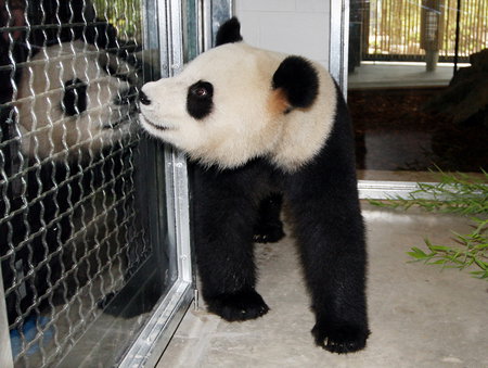 Adelaide Zoo - Events Australia 3