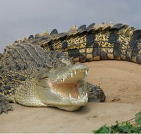 Dundee's Wildlife Park - Events Australia