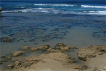 Canberra Contemporary Art Space - Events Australia 0