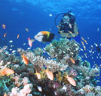 Drop Zone Dive Site - Events Australia