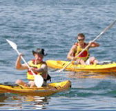 Manly Kayaks - Events Australia
