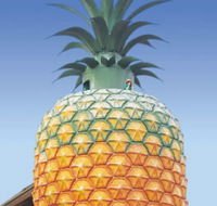 The Big Pineapple - Events Australia