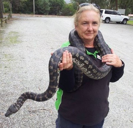 Gumbuya Park - Tourism Bookings 2