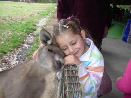 Gumbuya Park - Tourism Bookings 3