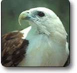 Kakadu National Park - Events Australia