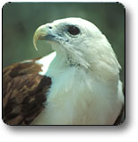 Kakadu National Park - Events Australia 0