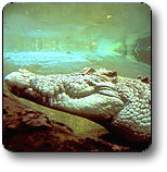 Kakadu National Park - Events Australia 1