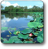Kakadu National Park - Events Australia 3