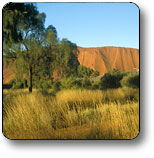 Uluru NT Events Australia