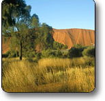 Uluru - Kata Tjuta National Park - Events Australia