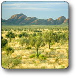 Uluru - Kata Tjuta National Park - Events Australia 2