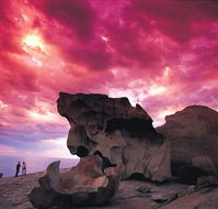 Kangaroo Island Adventure Tour 2 day/1 night - Events Australia