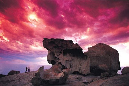 Kangaroo Island Adventure Tour 2 Day/1 Night - Events Australia 0