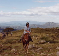 High Country Horses - Events Australia