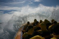 Jetboating Sydney - Events Australia 1