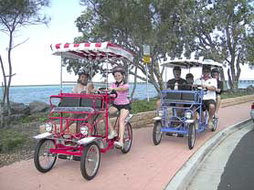 Book Hervey Bay QLD Attractions Events Australia Events Australia
