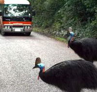 Kookaburra Tours - Events Australia