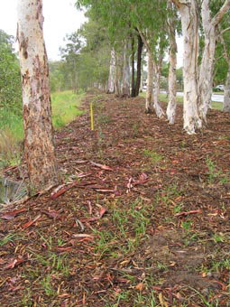 Kumbartcho Sanctuary - Events Australia 1