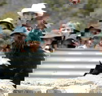 Tasmania Zoo - Events Australia