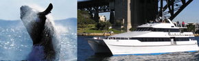 Prestige Harbour Cruises - Events Australia 3