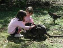 Urimbirra Wildlife Park - Events Australia 1