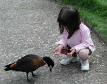 Urimbirra Wildlife Park - Events Australia 3