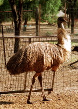 Waterways Wildlife Park - Events Australia 2