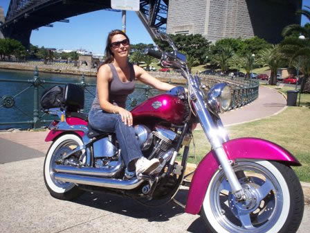 A Wild Ride - Tourism Bookings 2