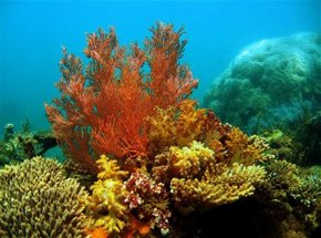 Exmouth WA Events Australia