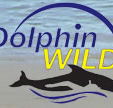 Dolphin Wild - Events Australia