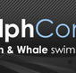 Dolphcom - Dolphin  Whale Swimming Adventures - Accommodation Europe