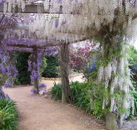Abingdon Miniature Village - Events Australia