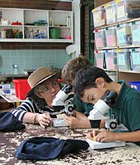 Australian National Botanic Gardens - Events Australia 2