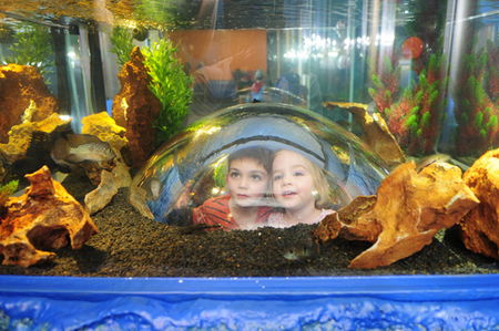 Scitech - Events Australia 3