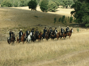 McCormacks Mountain Valley Trail Rides - Events Australia