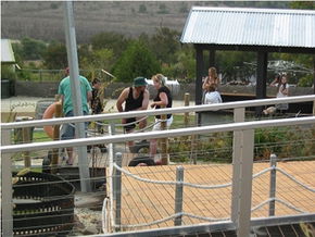  Events Australia