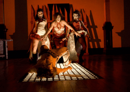 Zen Zen Zo Physical Theatre - Events Australia 1