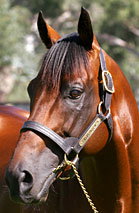 Blue Gum Farm - Tourism Bookings 2