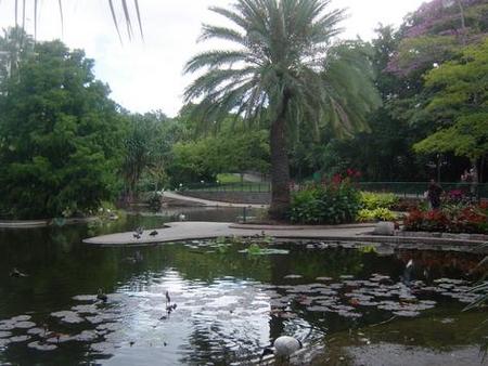 Brisbane City Botanic Gardens - Events Australia 0