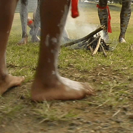 Musgrave Park Cultural Centre - Events Australia 1