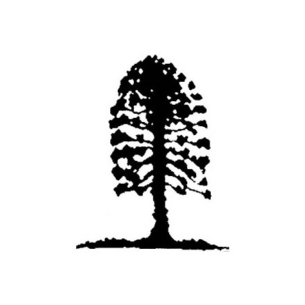 Musgrave Park Cultural Centre - Events Australia 2