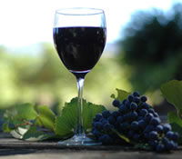  Accommodation Europe