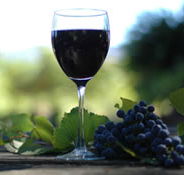 Lion Mill Vineyards - Accommodation Europe